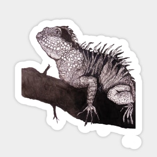 Iguana Sticker